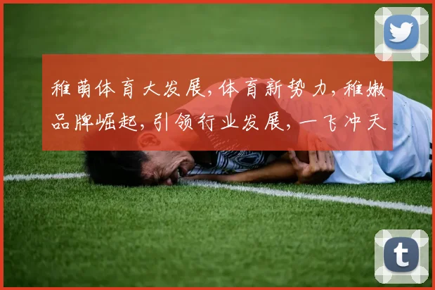 稚萌体育大发展,体育新势力,稚嫩品牌崛起,引领行业发展,一飞冲天