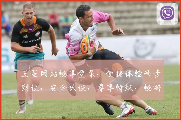 五星网站畅享登录，便捷体验两步到位，安全认证，尊享特权，畅游无界