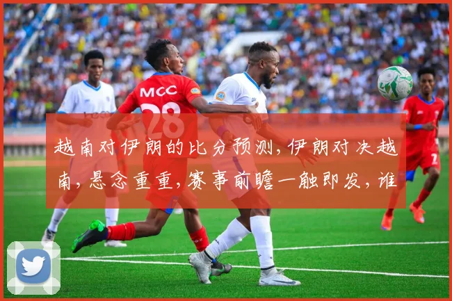 越南对伊朗的比分预测,伊朗对决越南,悬念重重,赛事前瞻一触即发,谁将笑到最后