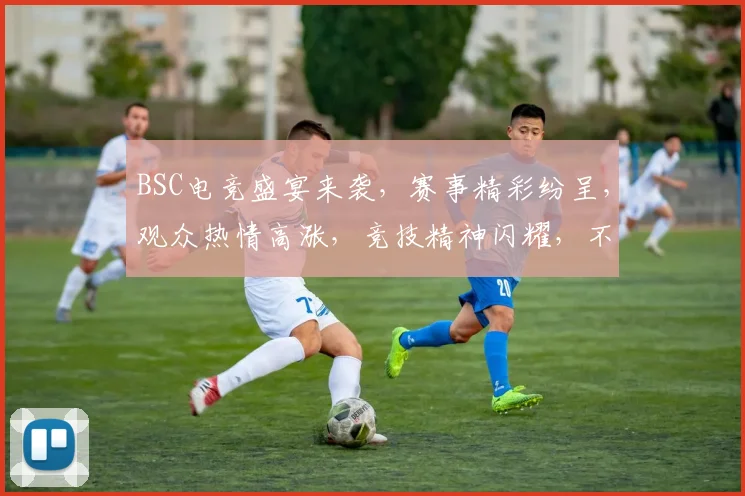 BSC电竞盛宴来袭，赛事精彩纷呈，观众热情高涨，竞技精神闪耀，不容错过
